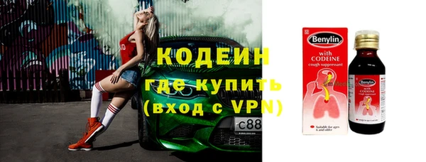 сатива Инсар
