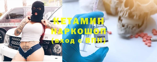 сатива Инсар