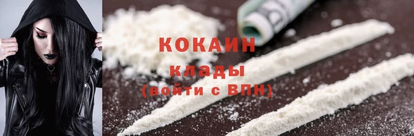 ПСИЛОЦИБИНОВЫЕ ГРИБЫ Инта