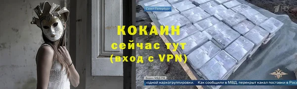 ПСИЛОЦИБИНОВЫЕ ГРИБЫ Инта