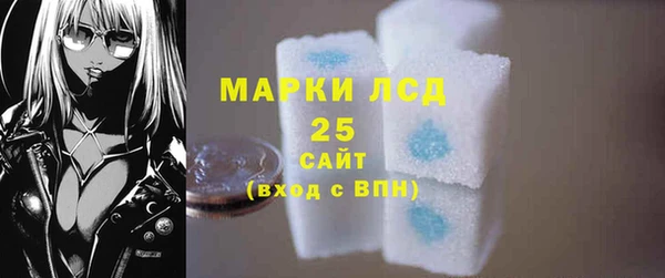 ПСИЛОЦИБИНОВЫЕ ГРИБЫ Инта