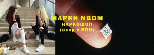 ПСИЛОЦИБИНОВЫЕ ГРИБЫ Инта