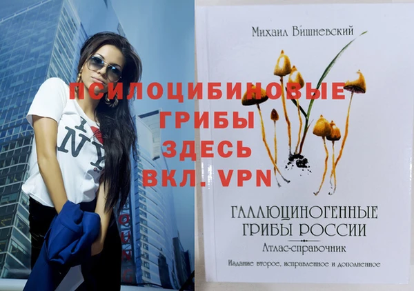 сатива Инсар