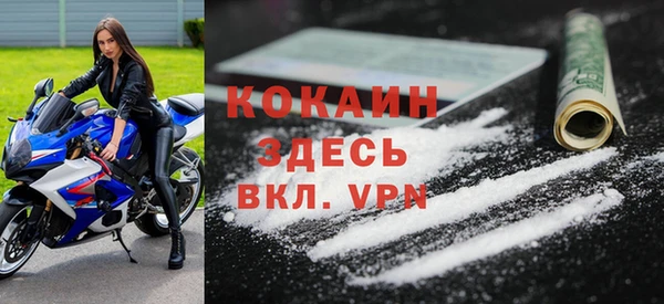 ПСИЛОЦИБИНОВЫЕ ГРИБЫ Инта