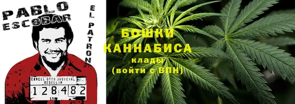 ПСИЛОЦИБИНОВЫЕ ГРИБЫ Инта