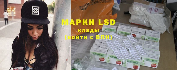 сатива Инсар